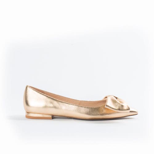 Shop Cecelia New York Brie Point Toe Bow Ballet In Gold