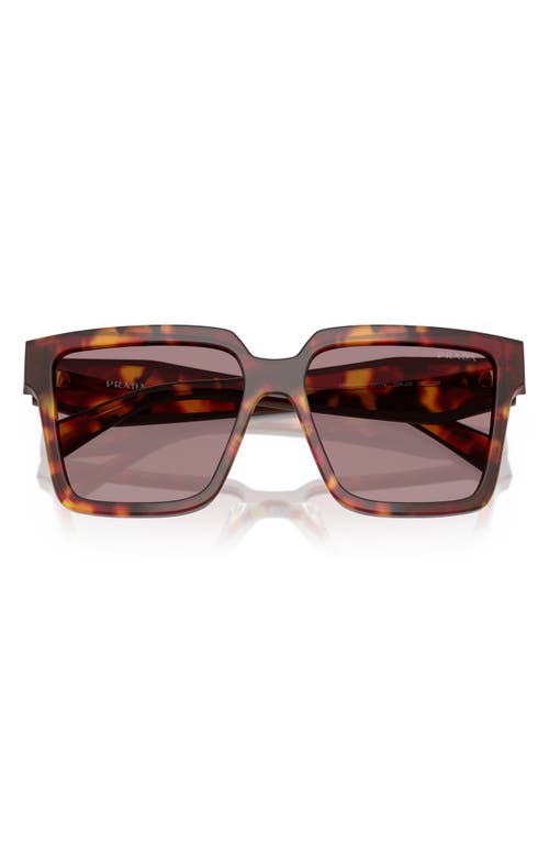 Prada 56mm Square Sunglasses In Purple