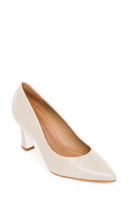 BERNARDO FOOTWEAR Faryn Pointed Toe Pump at Nordstrom,