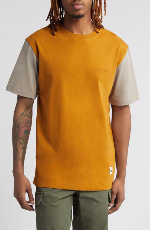 Colorblock T-Shirt in Brown Multi