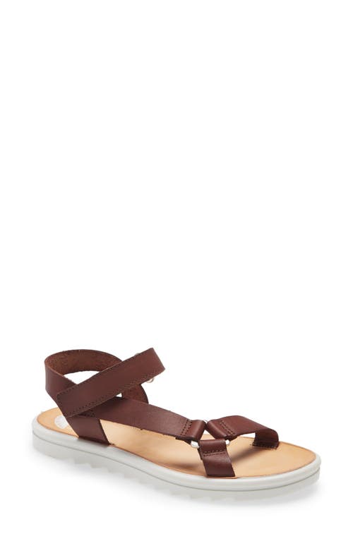 Transfer Sandal in Brown Leather