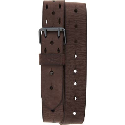 Allsaints Perforated Leather Belt, Bitter Brown