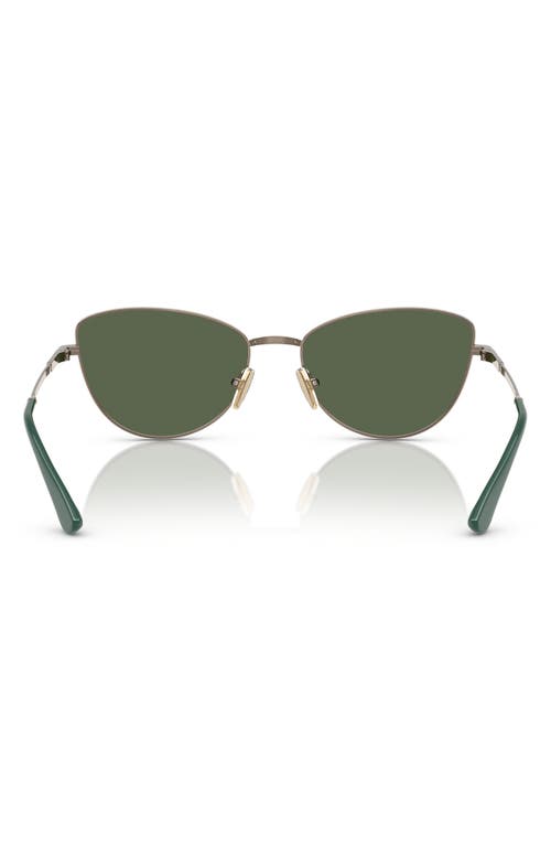 Vogue 56mm Polarized Butterfly Sunglasses In Lite Brown