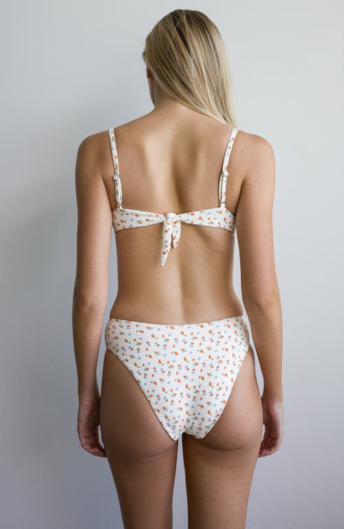 Dippin Daisys Taya Cheeky Bikini Bottom In Shortcake