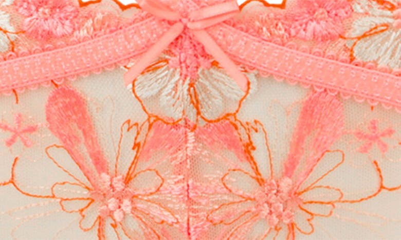 Shop Love, Vera Strappy Mesh & Floral Embroidered Briefs In Coral