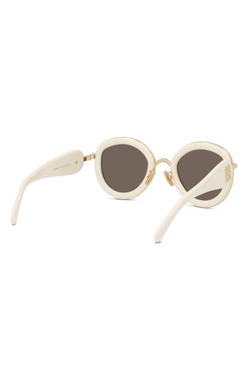 Shop Loewe 49mm Small Round Sunglasses In Ivory/brown