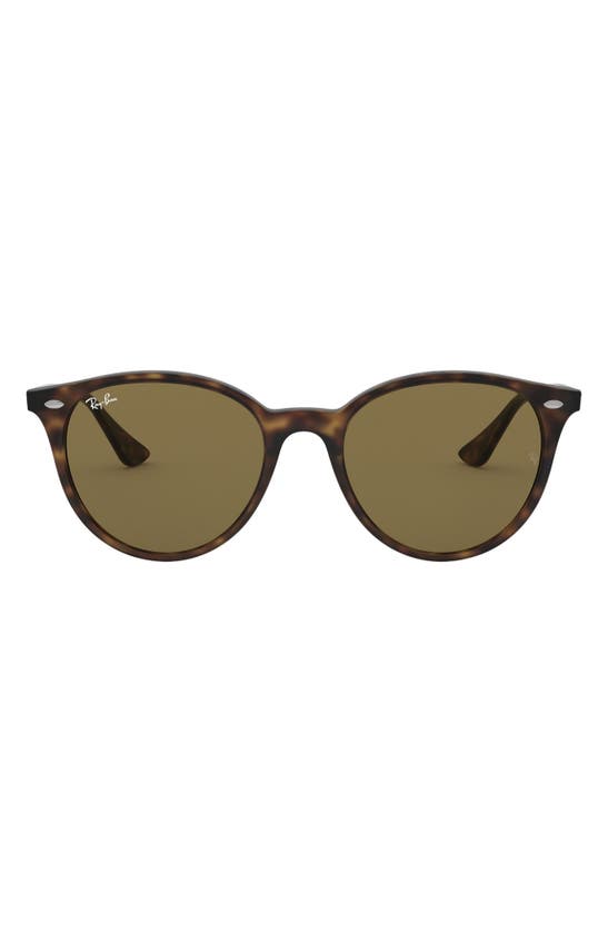 Ray Ban Phantos 53mm Polarized Round Sunglasses In Havana/ Brown Solid