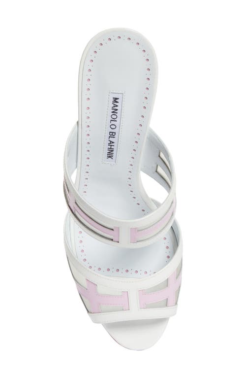 Shop Manolo Blahnik Avespamu Slide Sandal In Pink