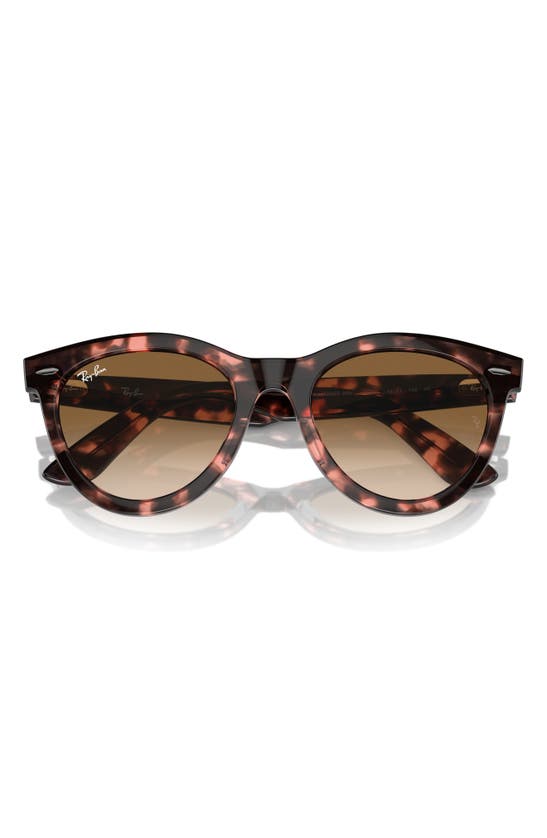 Shop Ray Ban Wayfarer Way 54mm Gradient Oval Sunglasses In Havana Pink