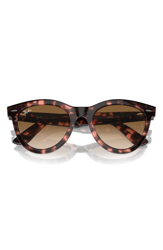 Shop Ray Ban Ray-ban Way Wayfarer 51mm Oval Sunglasses In Havana Pink