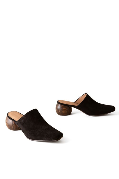 Huma Blanco Mina Mule In Coal Suede