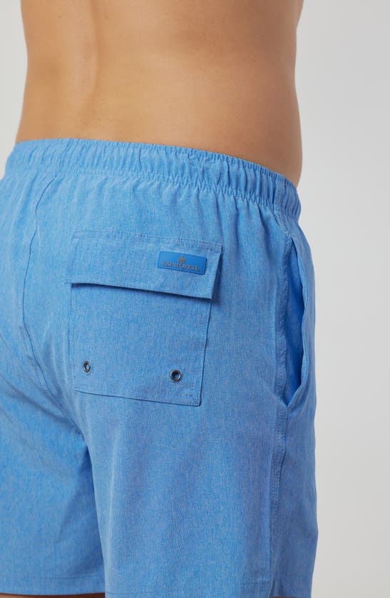 Rainforest Not Your Average Solid Swim Trunks In Ultra Marine