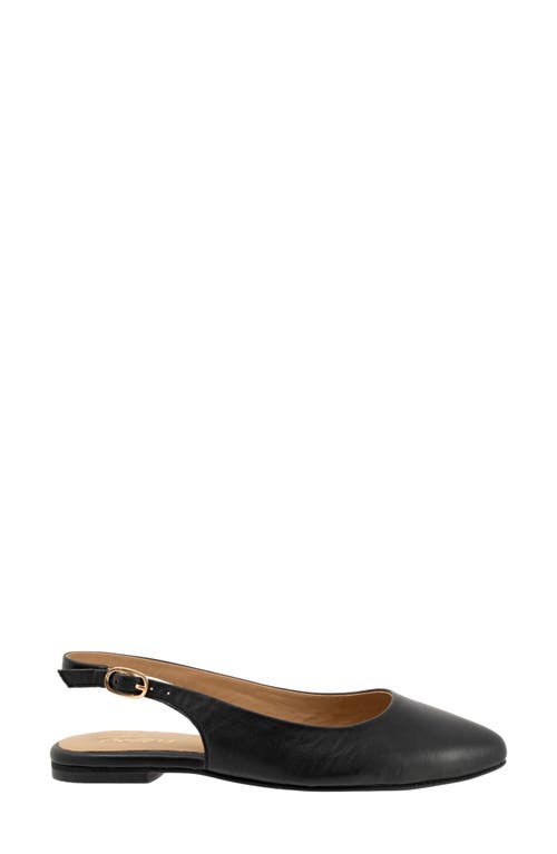 Trotters Evelyn Pointed Toe Slingback Flat In Black