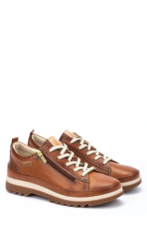 Shop Pikolinos Vigo Sneaker In Brandy