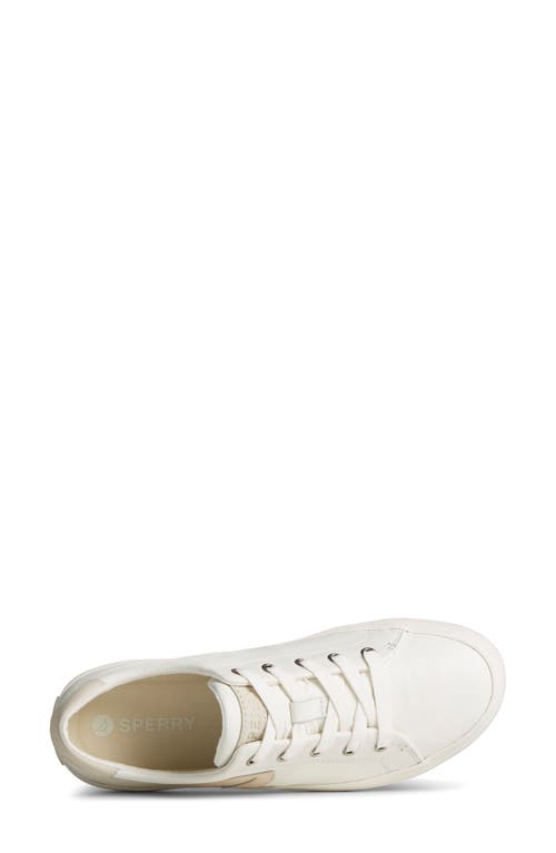 Sperry Sandy Wave Sneaker In White