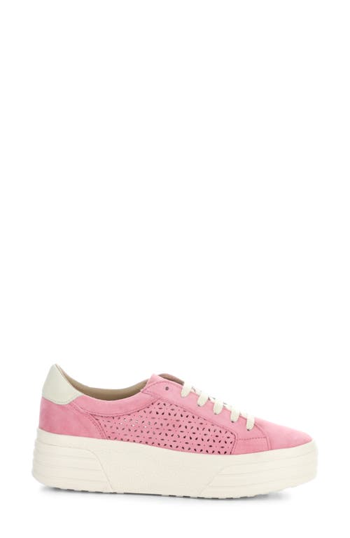 Shop Bos. & Co. Lotta Platform Sneaker In Pink Rose/marfil