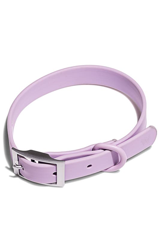 Wild One All-weather Dog Collar In Lilac