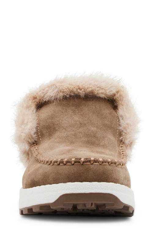 Shop Blondo Victor Waterproof Faux Fur Slipper In Taupe Suede