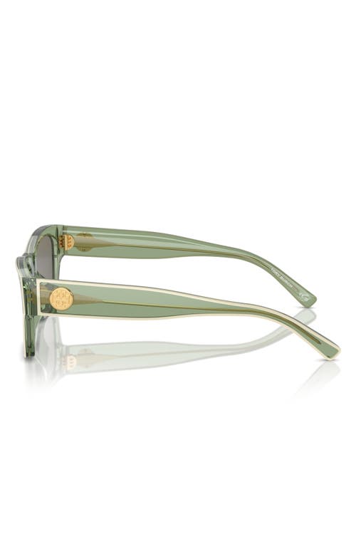 Tory Burch 53mm Rectangular Sunglasses In Green