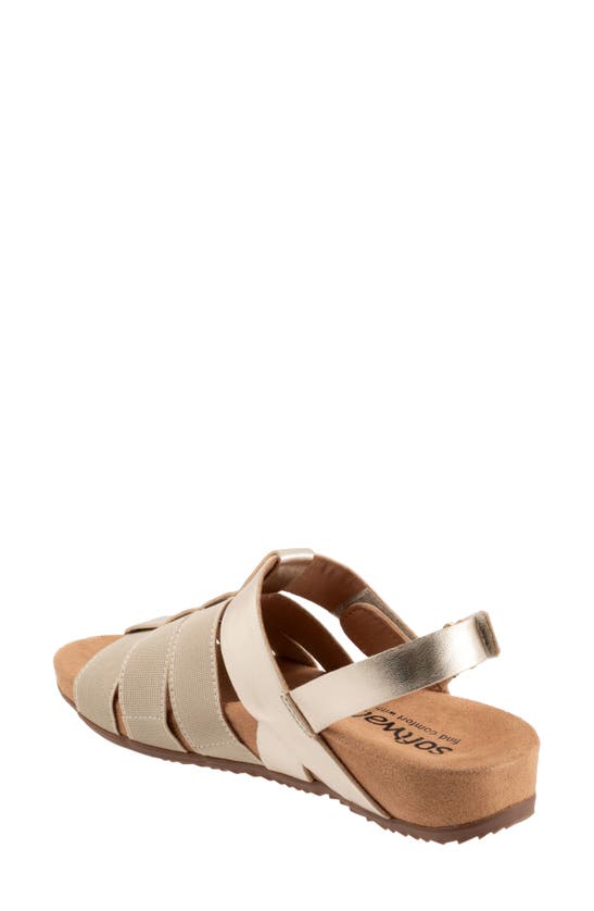 Shop Softwalk ® Burnaby Slingback Sandal In Champagne