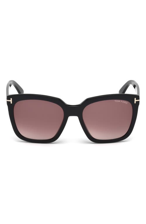 Shop Tom Ford Amarra 55mm Gradient Square Sunglasses In Black/gradient Burgundy