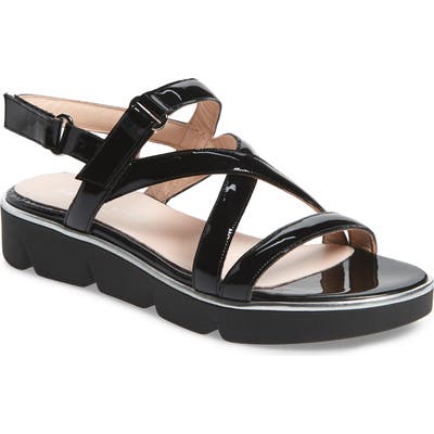 Patricia Green Capri Platform Slingback Sandal, Black