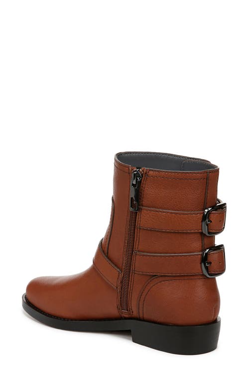 Shop Franco Sarto Prina Bootie In Brown