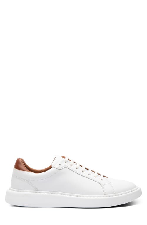 Shop Gordon Rush Devon Sneaker In White/luggage