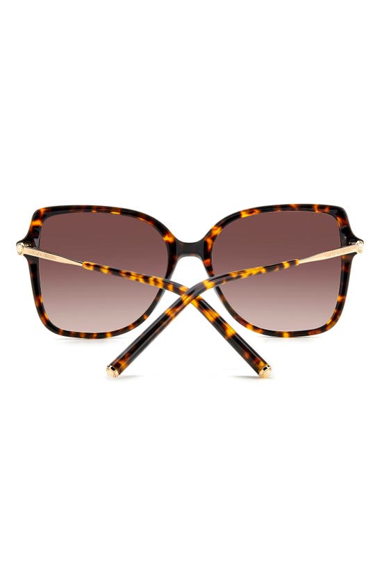 Shop Carolina Herrera 55mm Square Sunglasses In Havana/ Gold