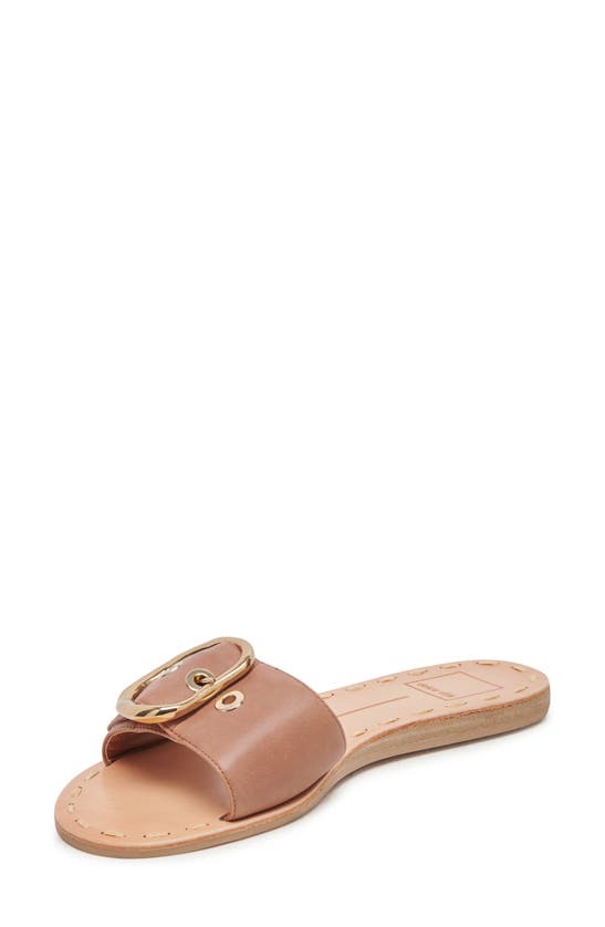 Shop Dolce Vita Danna Slide Sandal In Cider Leather