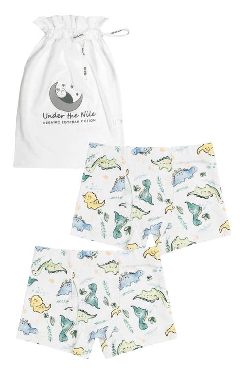 Under the Nile Kids' 2-Pack Organic Cotton Boxer Briefs in at Nordstrom