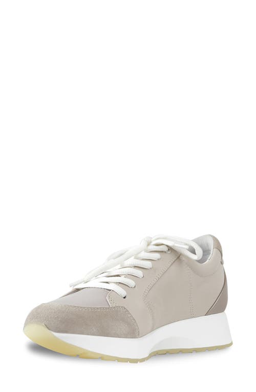 Shop Munro Sutton Sneaker In Natural