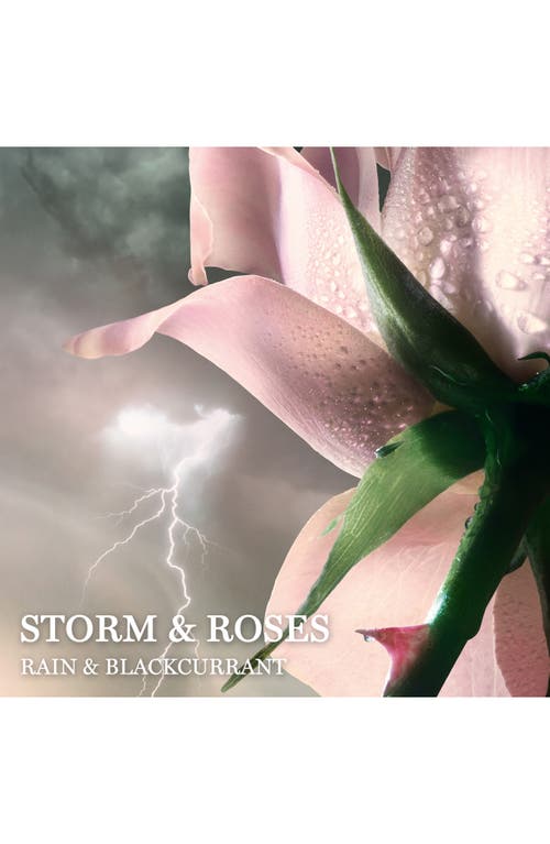 Lancôme Absolue Storm & Roses Eau De Parfum In No Color