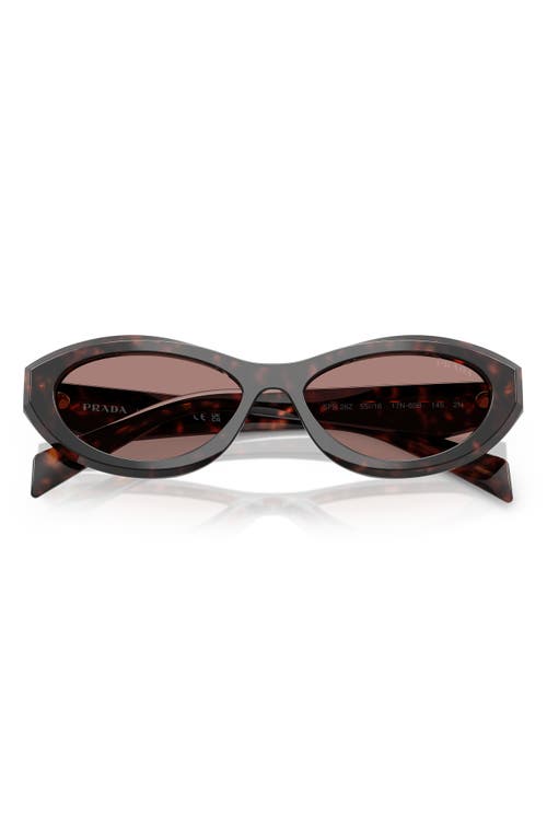 Shop Prada 55mm Irregular Sunglasses In Brown Tortoise