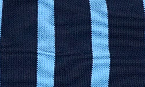 English Factory Stripe Cotton Zip Pullover In Navy/blue