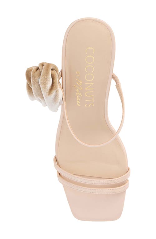Coconuts By Matisse Rosa Wedge Sandal In Beige