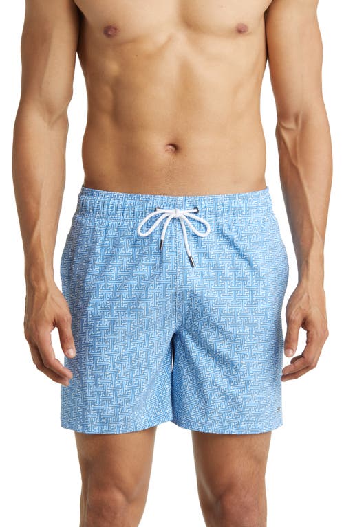 HARMONQLO Skye Swim Trunks in Blue/white