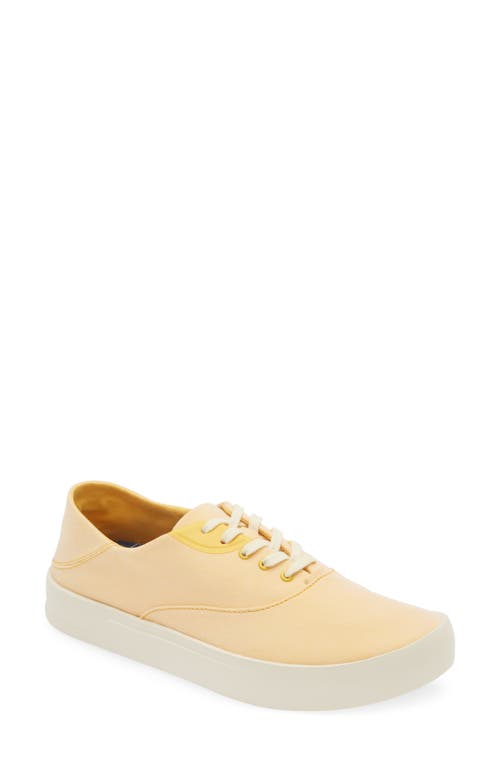Olukai Tradewind Sneaker In Yellow