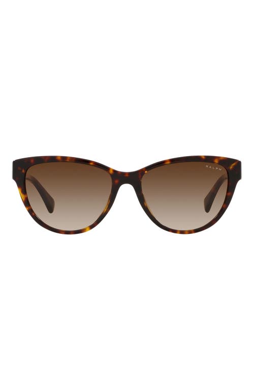 RALPH 56mm Gradient Oval Sunglasses in Shiny Hava at Nordstrom