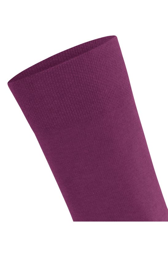 Shop Falke Sensitive London Cotton Blend Socks In Hibiscus