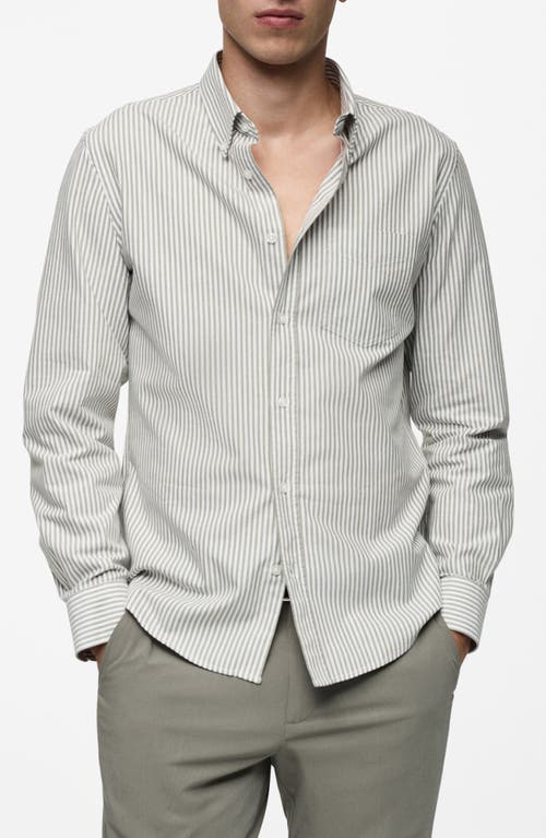 Shop Mango Kodak Stripe Regular Fit Poplin Button-down Shirt<br /> In Khaki