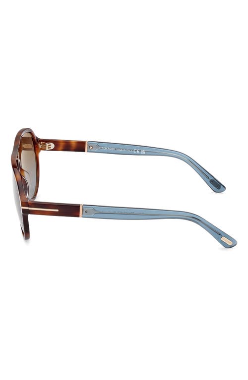 Shop Tom Ford Quincy 59mm Pilot Sunglasses In Shiny Havana/brown To Blue