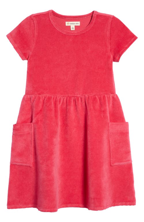 Tucker + Tate Kids' Velour Pocket Dress in Pink Jazzberry