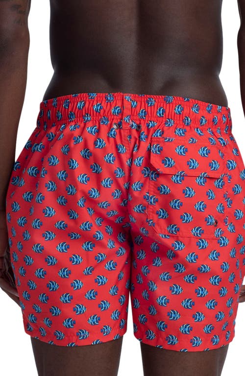 Shop Bugatchi Neat Print Swim Trunks In Ruby