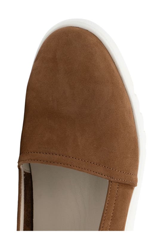 Shop Amalfi By Rangoni Elia Patent Leather Platform Loafer In Terra Tiffany