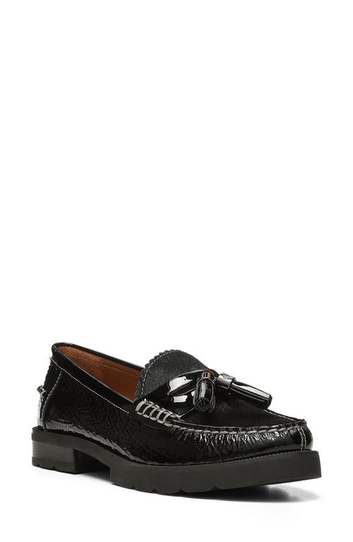 Donald Pliner Lenny Genuine Calf Hair Tassel Loafer Black at Nordstrom,