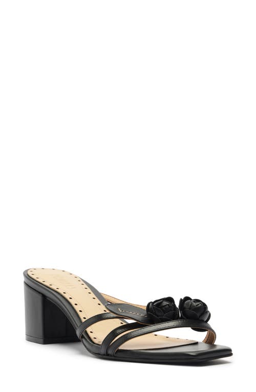 Schutz Alma Slide Sandal Black at Nordstrom,