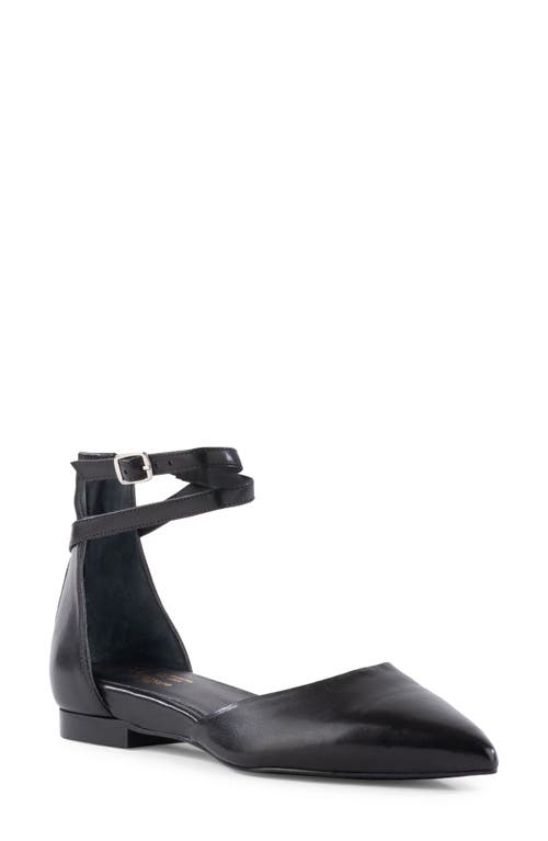 Seychelles Ankle Strap d'Orsay Pointed Toe Flat at Nordstrom,
