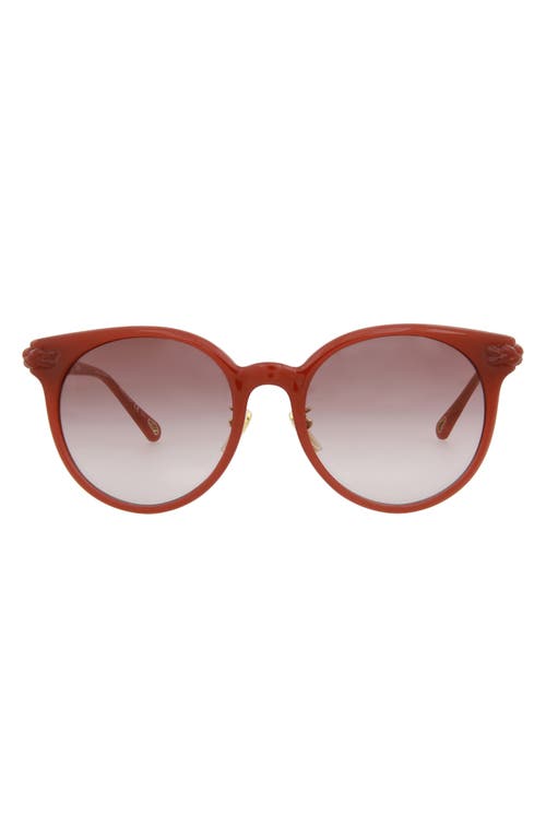 Shop Chloé 60mm Round Sunglasses In Orange Orange Brown