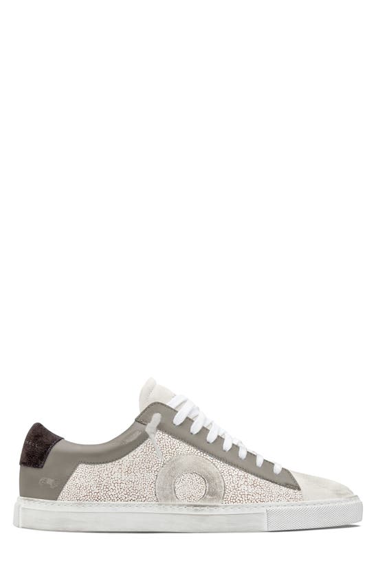 Shop Oliver Cabell Low 1 Sneaker In Stingray